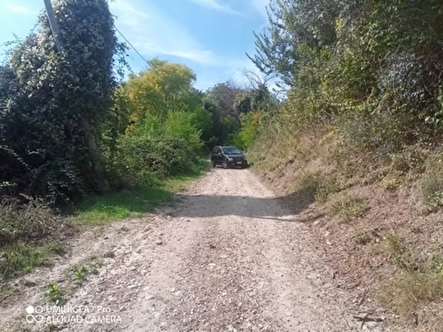 Immagine 6 di Porzione di casa in vendita  in LOC.POZZO a Paglieta