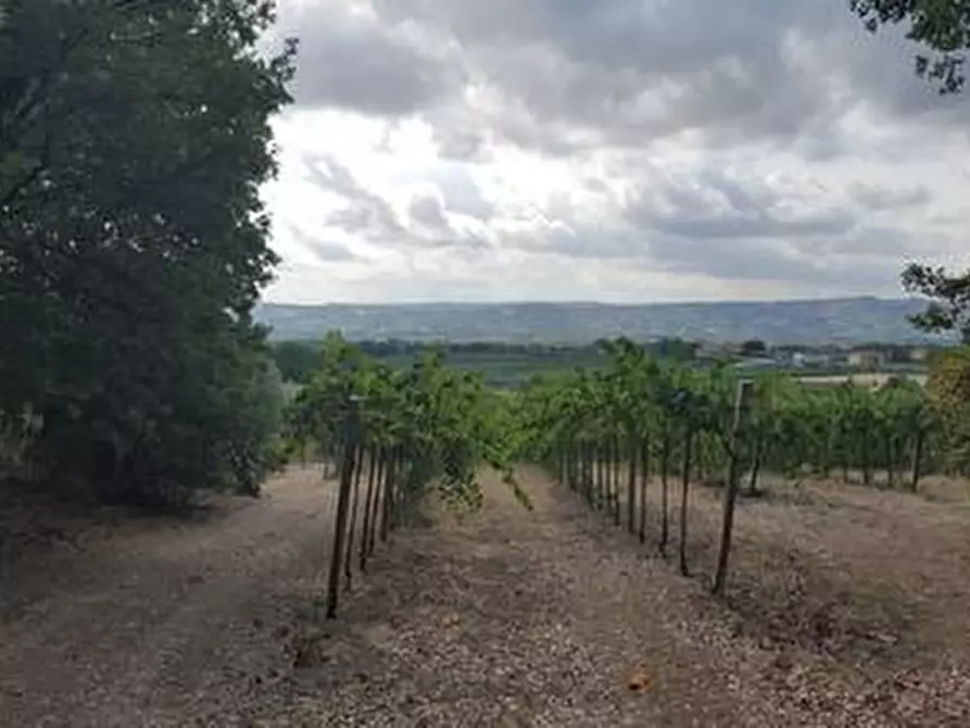 Immagine 12 di Terreno agricolo in vendita  a Santa Maria Imbaro