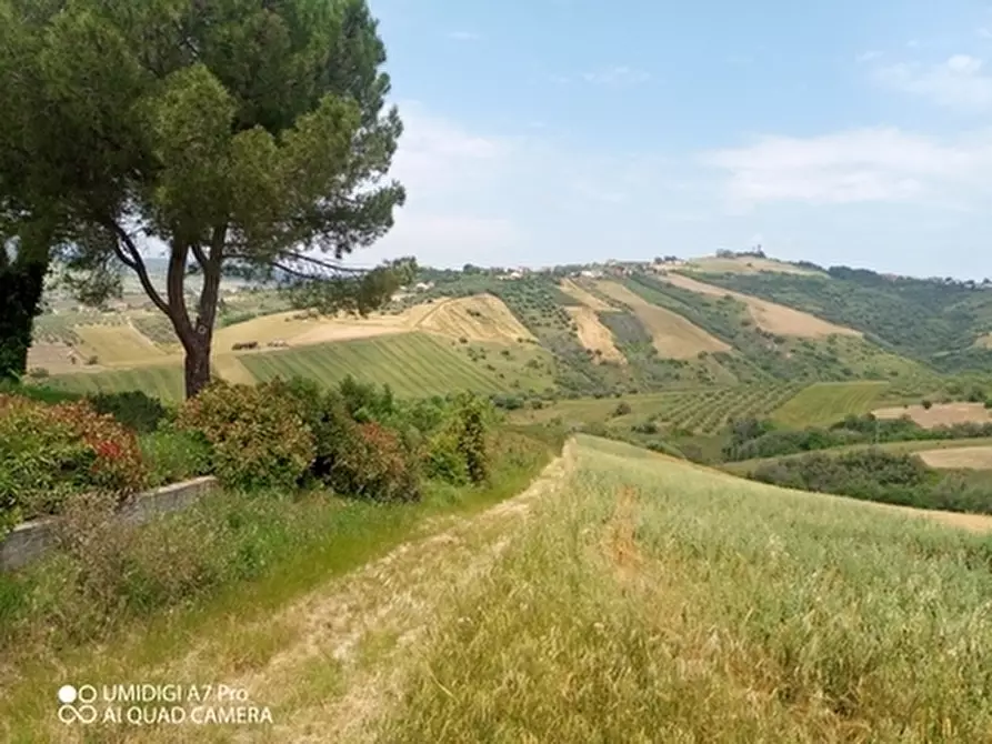 Immagine 11 di Terreno agricolo in vendita  in LOCALITA' CATOSCIO a Castel Frentano
