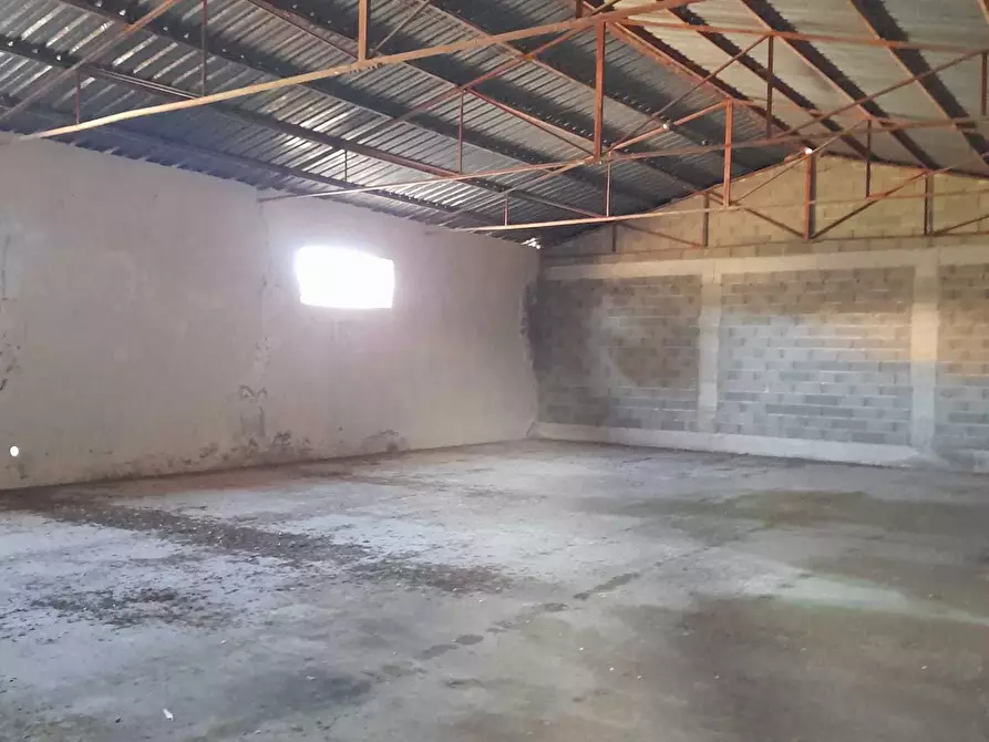 Immagine 23 di Attività artigianale in vendita  in C.DA PIANA LA BARCA a Paglieta