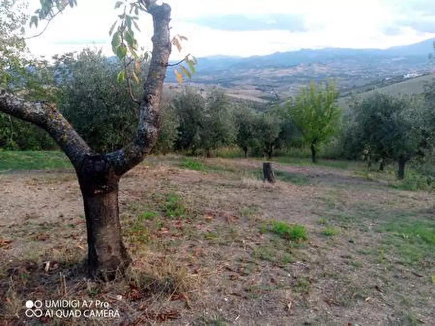 Immagine 30 di Rustico / casale in vendita  in VIA DE THOMASSIS a Castel Frentano
