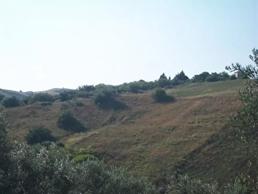Immagine 16 di Terreno agricolo in vendita  in C.DA RIZZACORNO a Lanciano