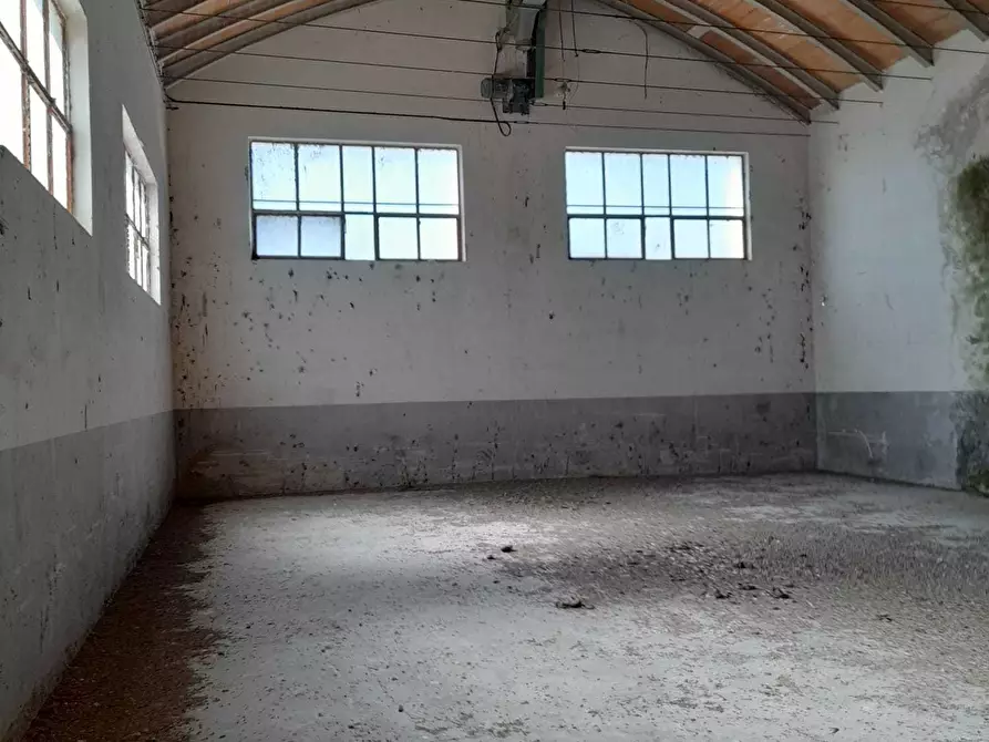 Immagine 26 di Attività artigianale in vendita  in C.DA PIANA LA BARCA a Paglieta