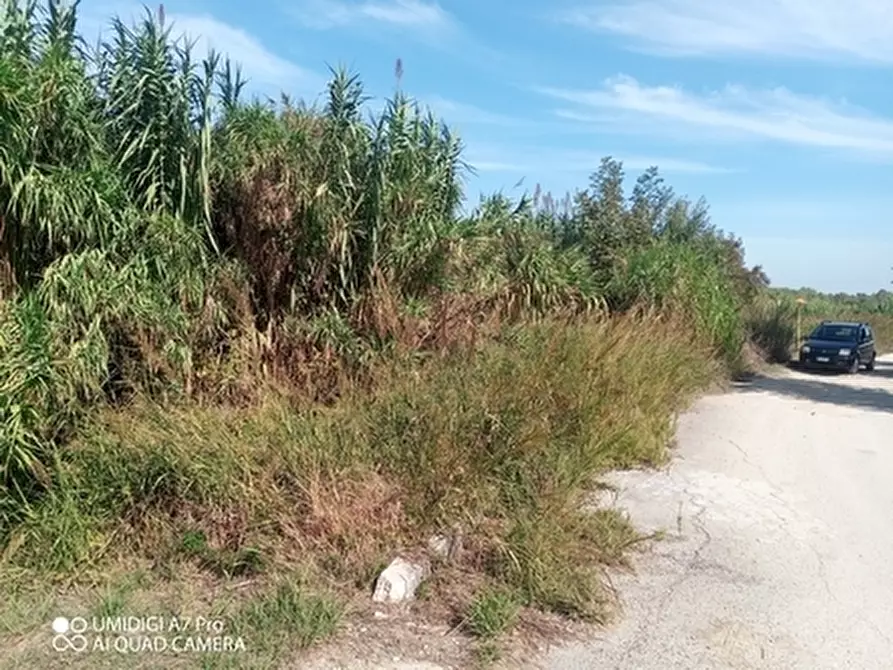 Immagine 6 di Terreno agricolo in vendita  in LOCALITA' SALETTI a Atessa
