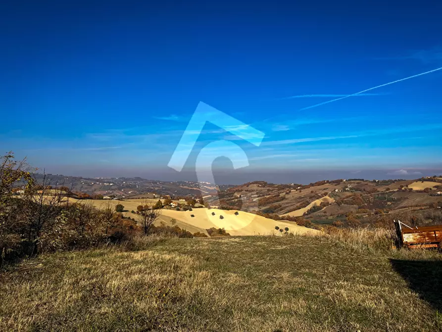Immagine 14 di Rustico / casale in vendita  a Staffolo