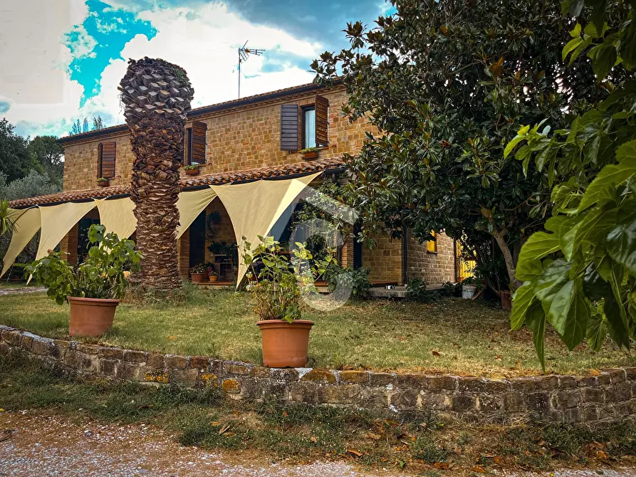 Immagine 3 di Rustico / casale in vendita  a Monte Roberto