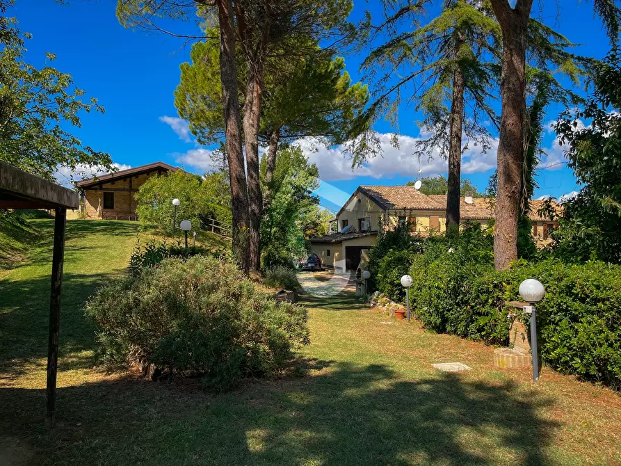 Immagine 7 di Casa bifamiliare in vendita  a Castelbellino