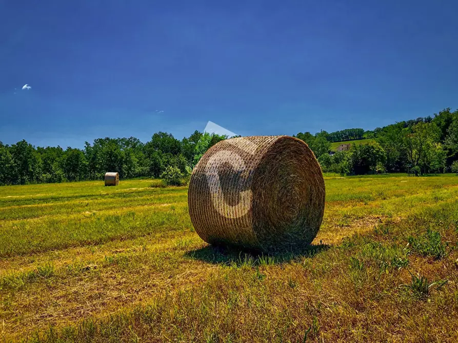 Immagine 5 di Rustico / casale in vendita  a Trecastelli
