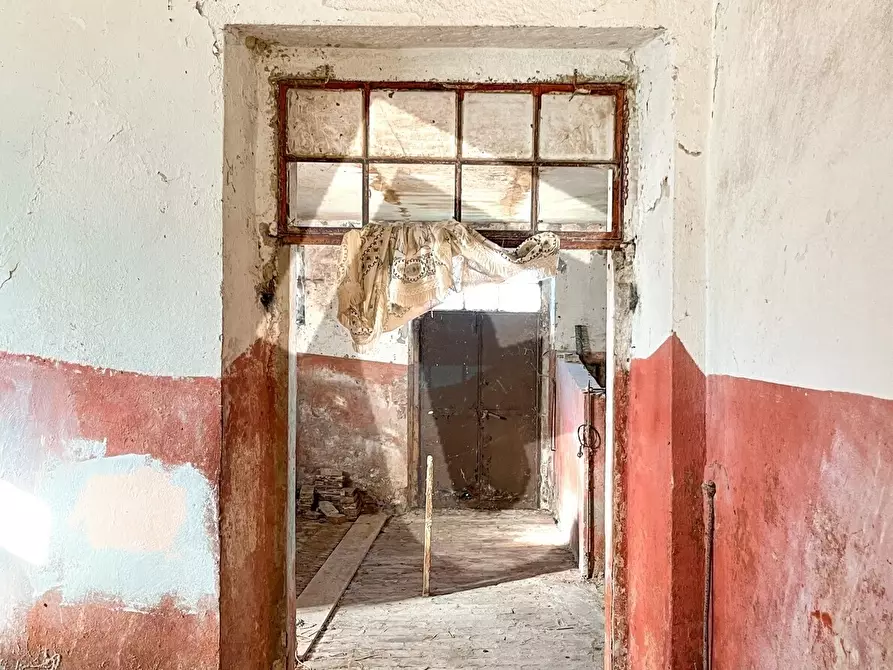 Immagine 45 di Rustico / casale in vendita  a Staffolo