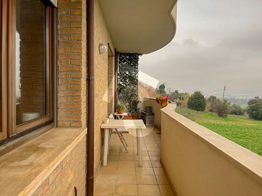 Immagine 2 di Trilocale in affitto  a Monsano