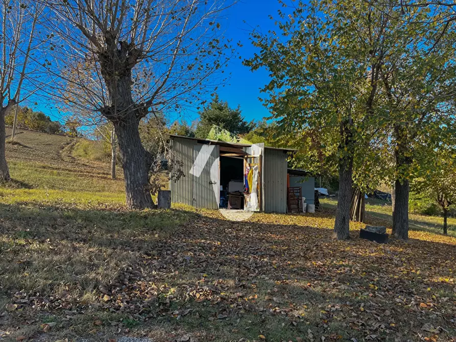 Immagine 36 di Rustico / casale in vendita  a Senigallia