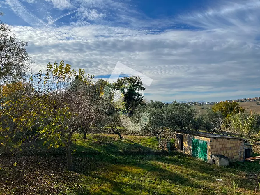 Immagine 11 di Rustico / casale in vendita  a Belvedere Ostrense