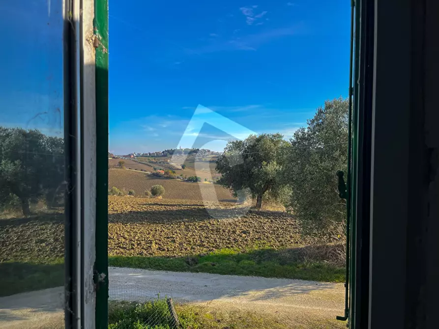 Immagine 15 di Rustico / casale in vendita  a Belvedere Ostrense