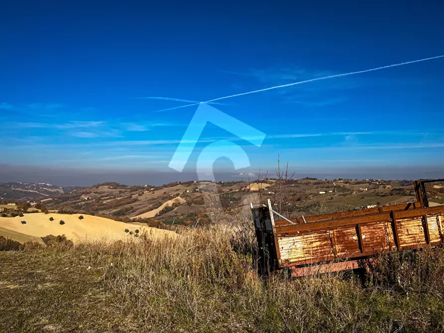 Immagine 10 di Rustico / casale in vendita  a Staffolo