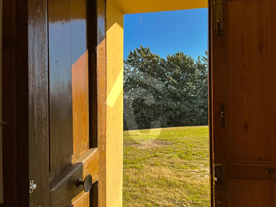 Immagine 18 di Rustico / casale in vendita  a Staffolo