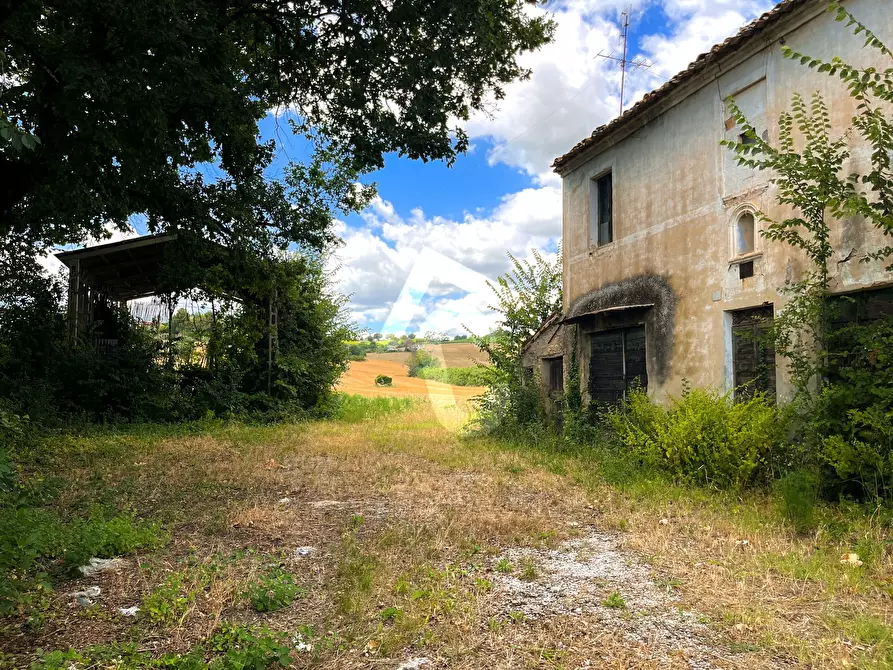 Immagine 3 di Rustico / casale in vendita  a Monte Roberto