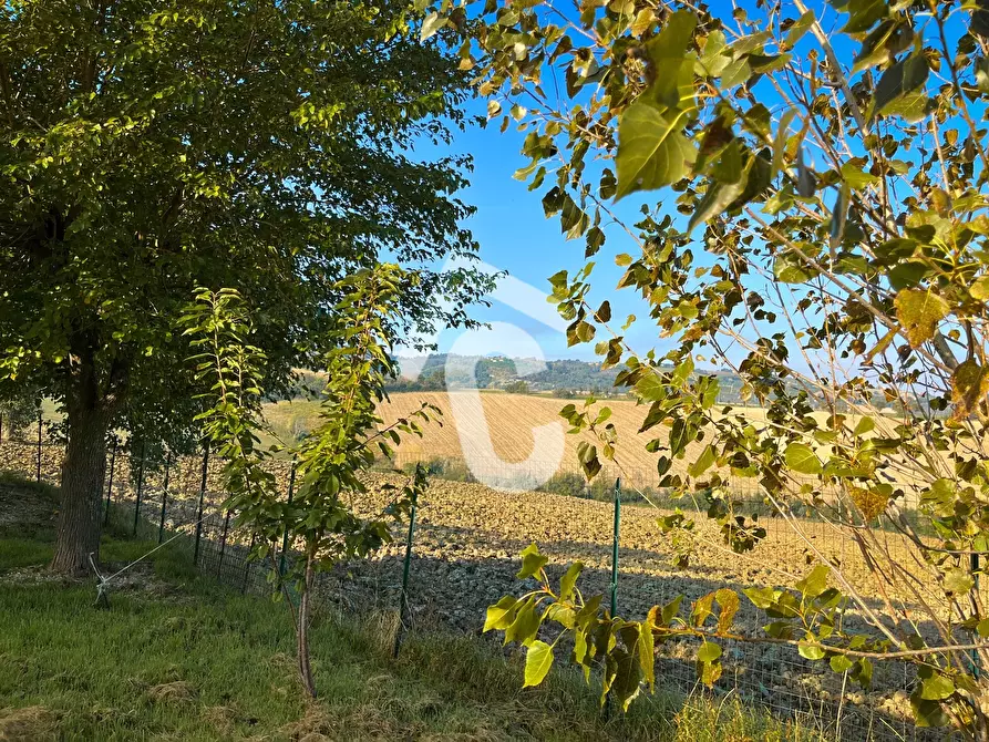 Immagine 32 di Rustico / casale in vendita  a Montecarotto