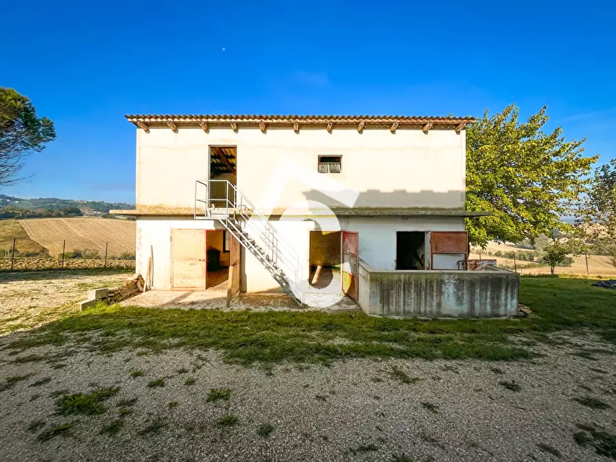 Immagine 31 di Rustico / casale in vendita  a Montecarotto