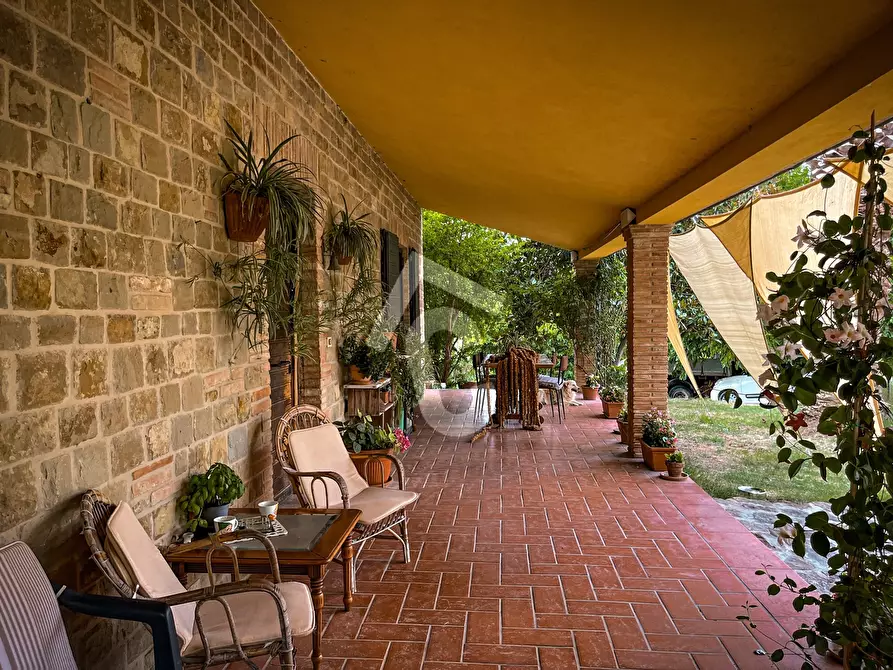 Immagine 4 di Rustico / casale in vendita  a Monte Roberto