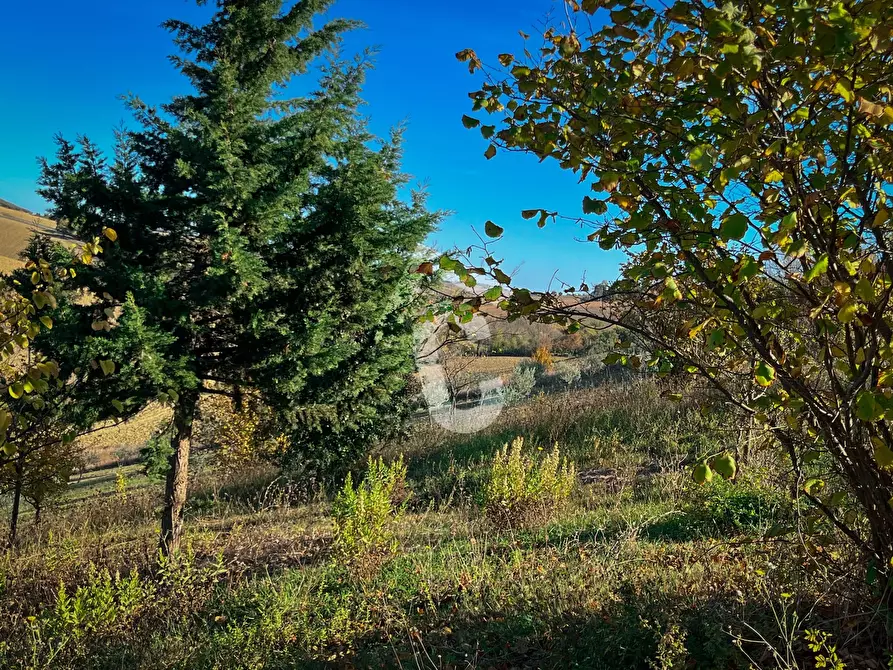 Immagine 7 di Rustico / casale in vendita  a Senigallia