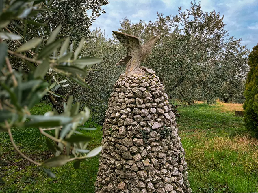 Immagine 3 di Terreno edificabile in vendita  a Jesi