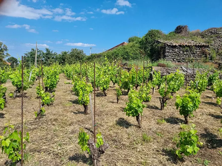 Immagine 18 di Terreno agricolo in vendita  a Tremestieri Etneo