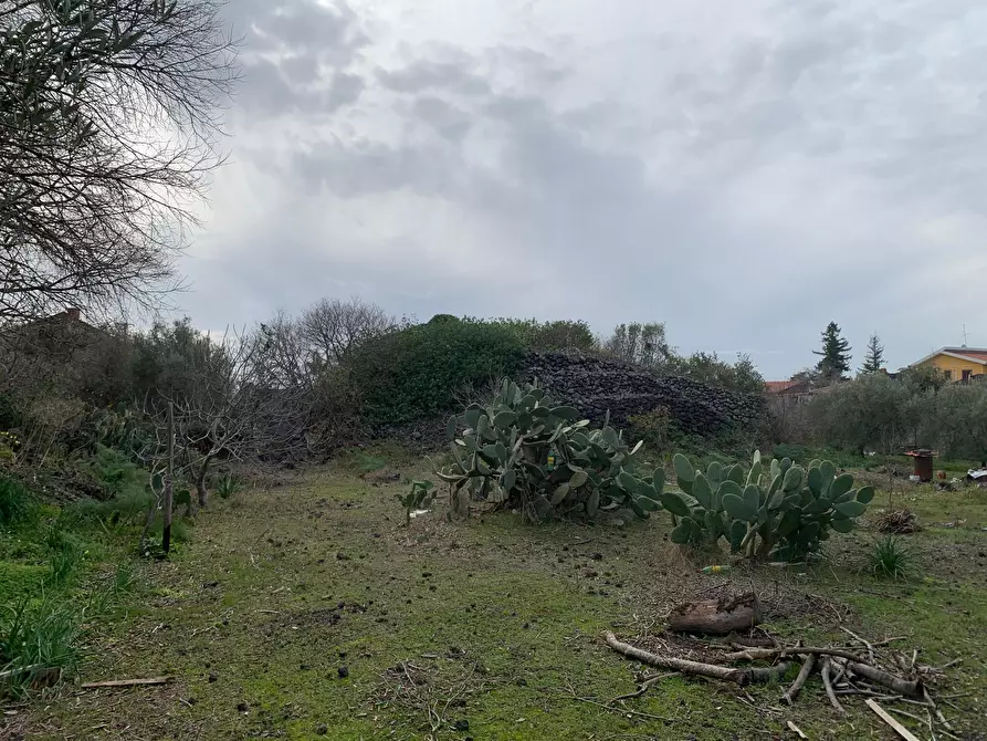Immagine 18 di Terreno agricolo in vendita  a Pedara