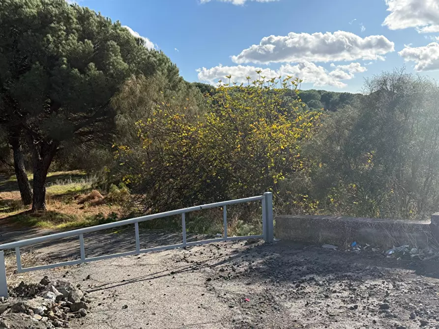 Immagine 12 di Terreno agricolo in vendita  a Nicolosi