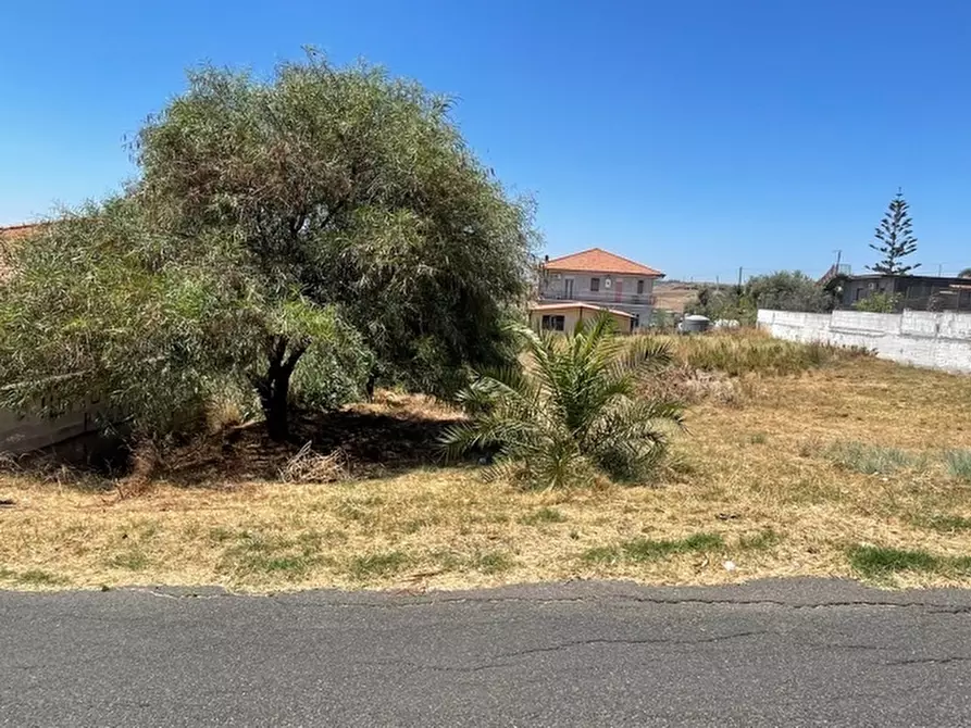 Immagine 8 di Terreno agricolo in vendita  a Lentini