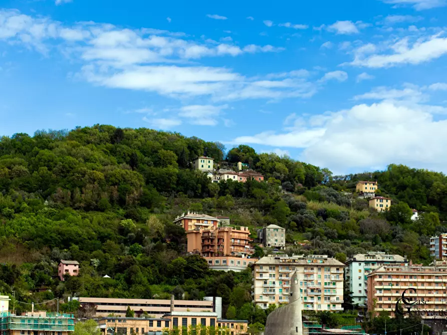 Immagine 31 di Appartamento in vendita  in Via Piacenza a Genova