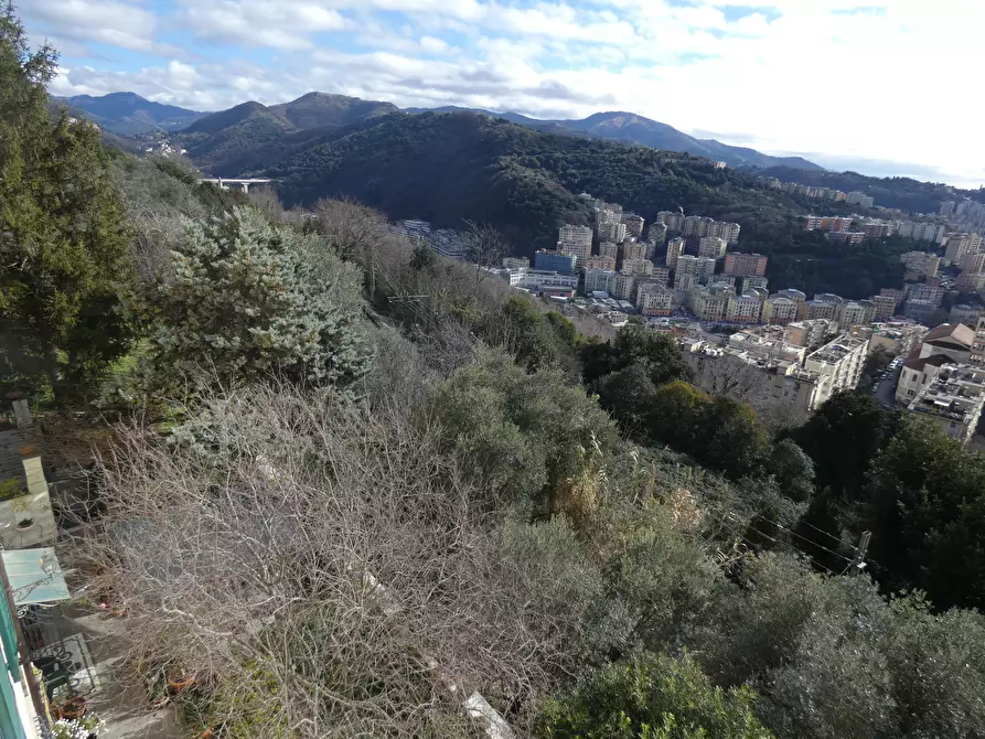 Immagine 37 di Casa indipendente in vendita  a Genova