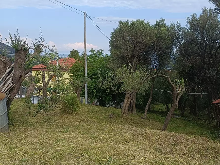 Immagine 4 di Terreno edificabile in vendita  in Via Nuova Cantalupo snc a Varazze