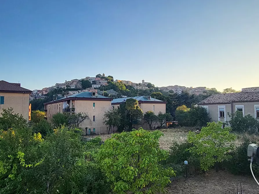 Immagine 35 di Casa indipendente in vendita  in Via Giotto 22 a Acri