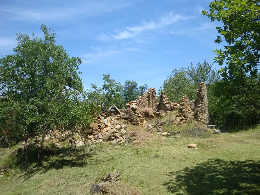 Immagine 6 di Terreno edificabile in vendita  in loc. Palo - Patare 1 a Sassello