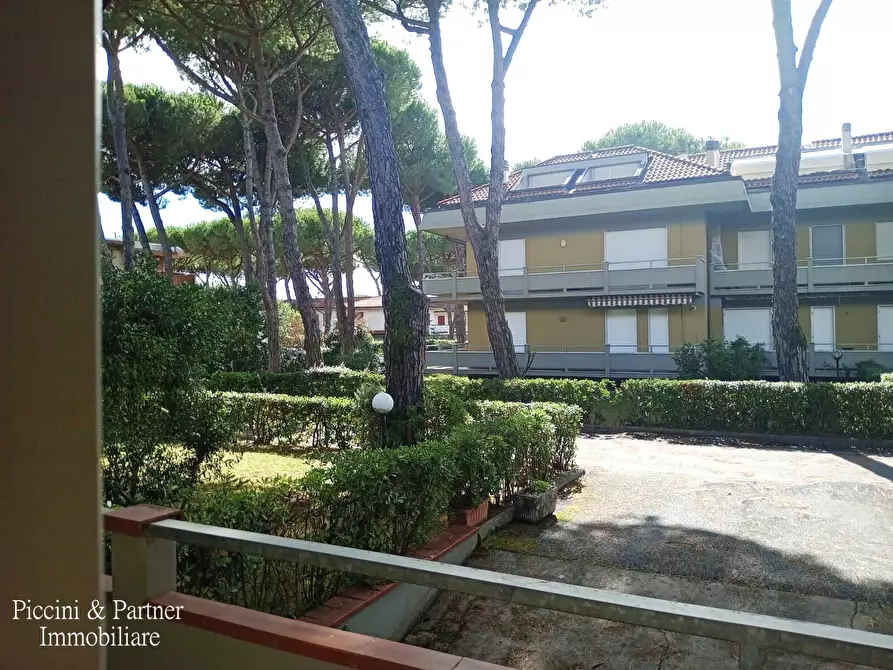 Immagine 14 di Quadrilocale in vendita  in Via Magliano 15 a Massa