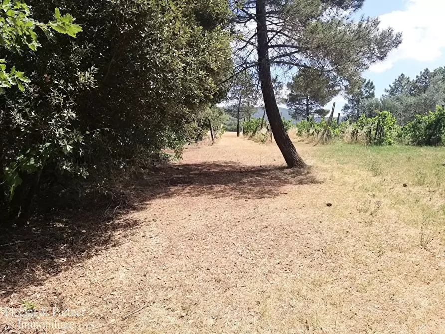 Immagine 42 di Rustico / casale in vendita  in 342W+VM Panicale a Panicale