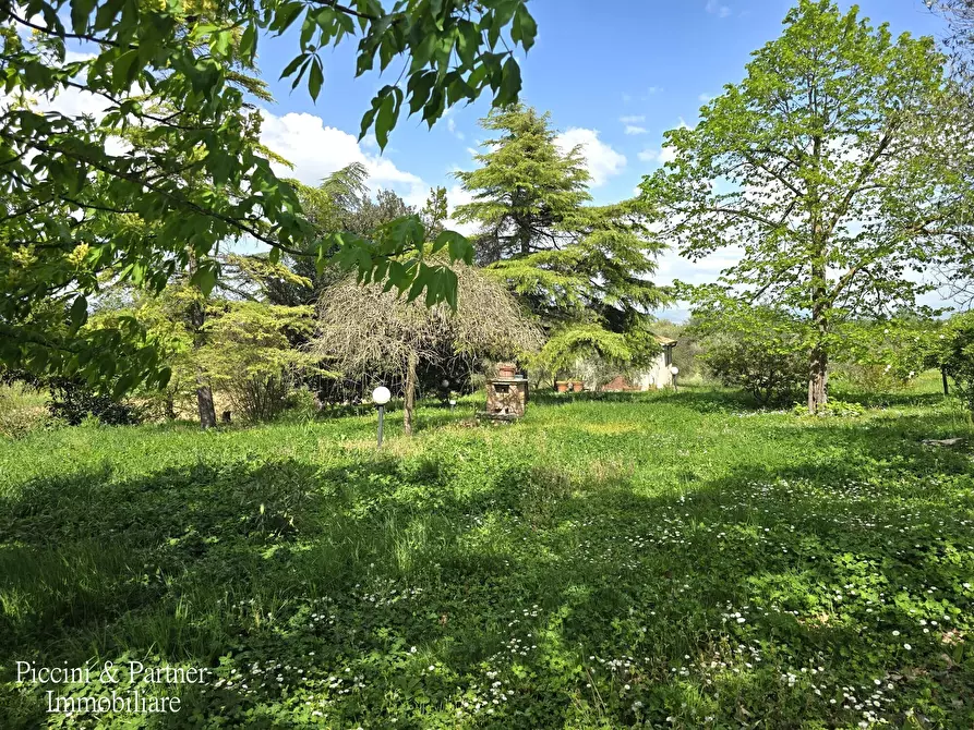 Immagine 22 di Rustico / casale in vendita  in Via Paganico 2 a Castiglione Del Lago