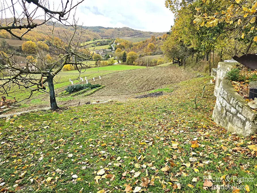 Immagine 7 di Terreno agricolo in vendita  in Località Colonnata a Gubbio