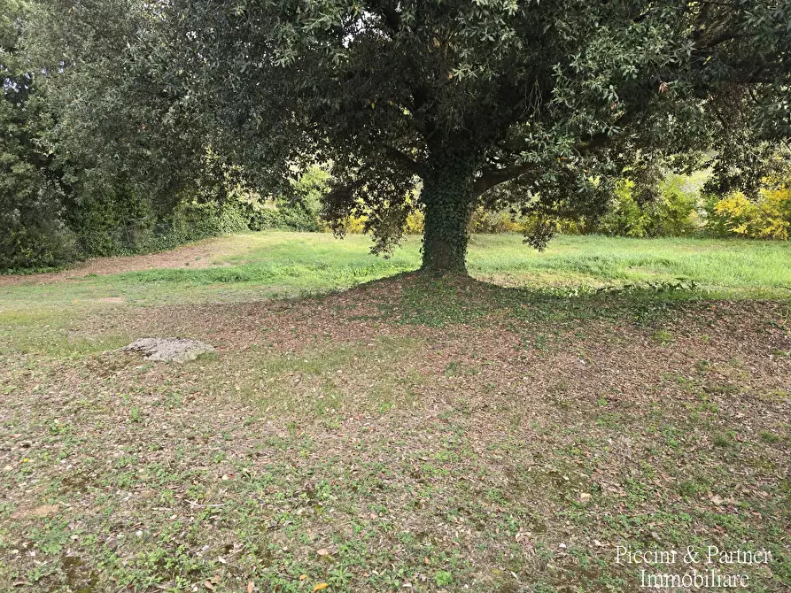 Immagine 73 di Rustico / casale in vendita  in Vocabolo Coccimignolo 36 a Marsciano