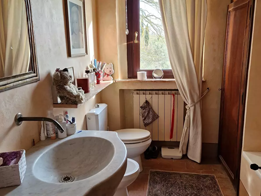 Immagine 30 di Rustico / casale in vendita  in Strada Provinciale della Montagna di Cetona a Sarteano