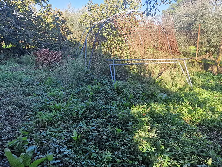 Immagine 62 di Rustico / casale in vendita  in Via della Vittoria 21 a Castiglione Del Lago