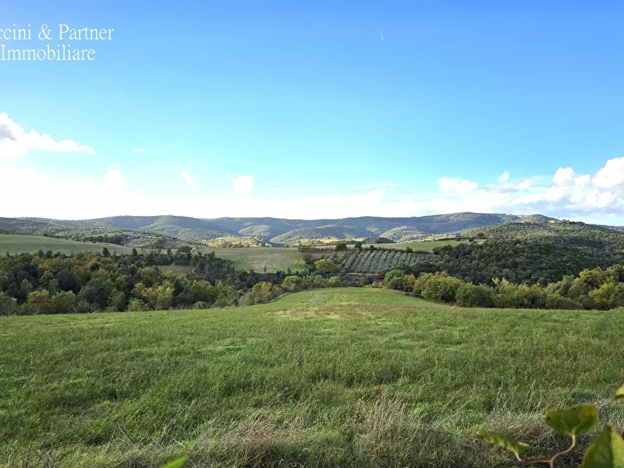 Immagine 6 di Rustico / casale in vendita  in Vocabolo Coccimignolo 36 a Marsciano