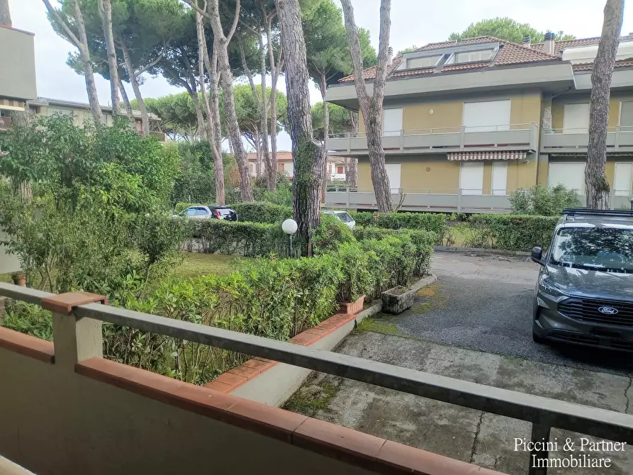 Immagine 5 di Quadrilocale in vendita  in Via Montecatini a Massa