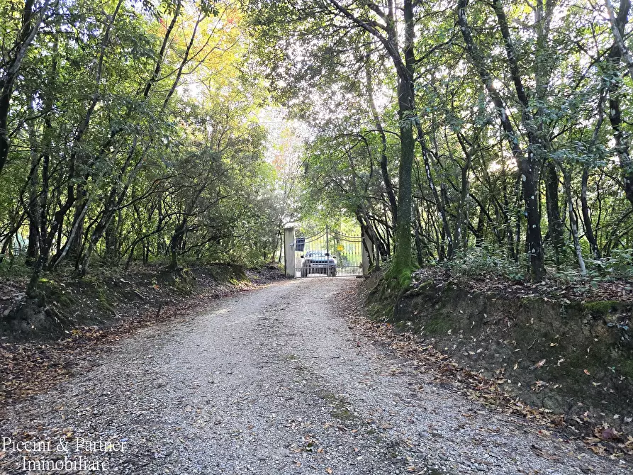 Immagine 68 di Villa in vendita  in Località Cinque Cerri a Bettona