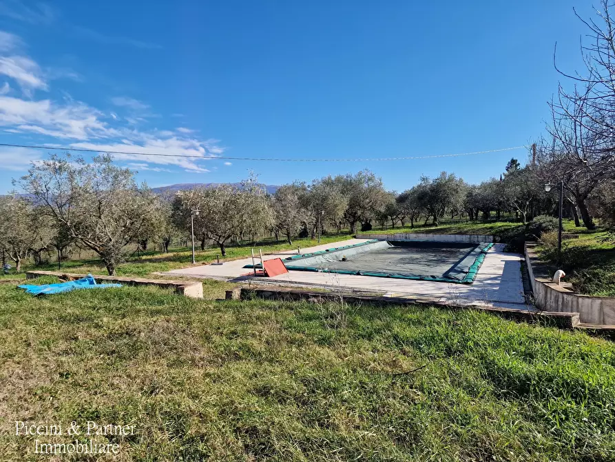 Immagine 8 di Agriturismo in vendita  in Località San Lorenzo a Castel Ritaldi