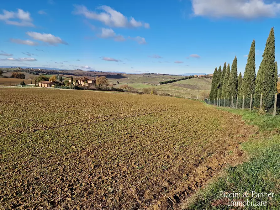 Immagine 75 di Villa in vendita  in Via Gozzano Vocabolo Giorgi a Castiglione Del Lago