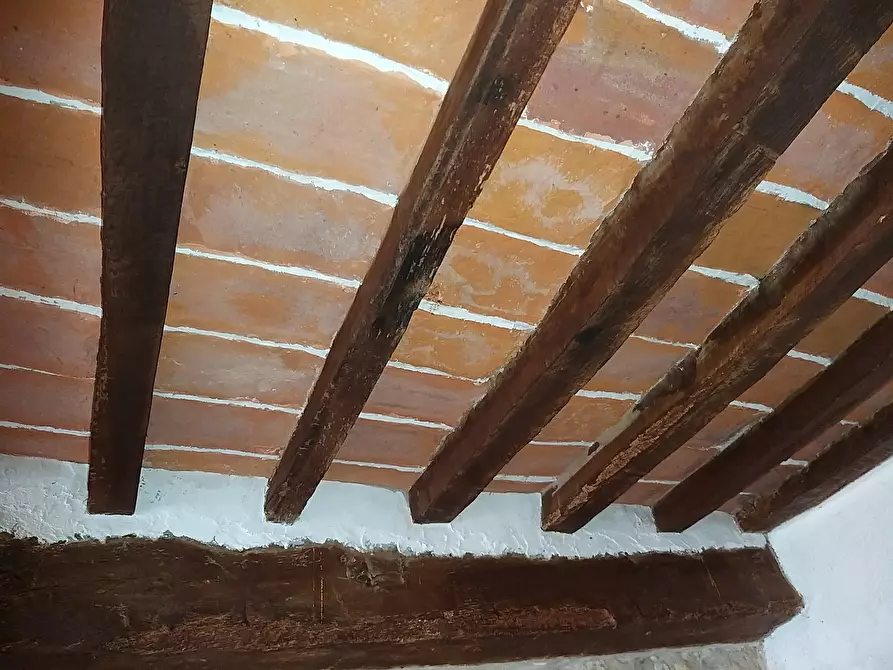 Immagine 14 di Porzione di casa in vendita  in Località Poggio Rosa 15 a Castiglione D'orcia