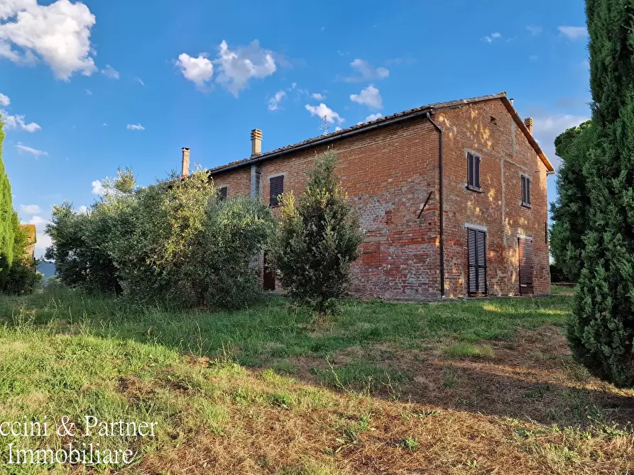 Immagine 47 di Rustico / casale in vendita  in Località Cantagallina Alta 11 a Castiglione Del Lago