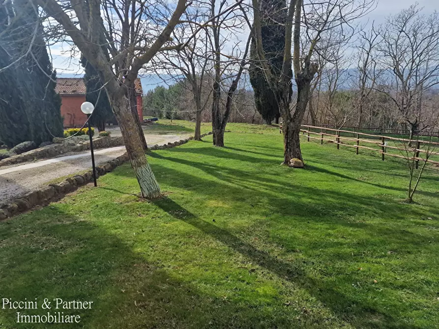 Immagine 60 di Rustico / casale in vendita  in Via del Conventaccio a Ficulle