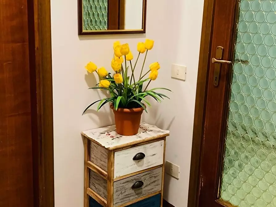 Immagine 29 di Quadrilocale in vendita  in Via Montecatini a Massa